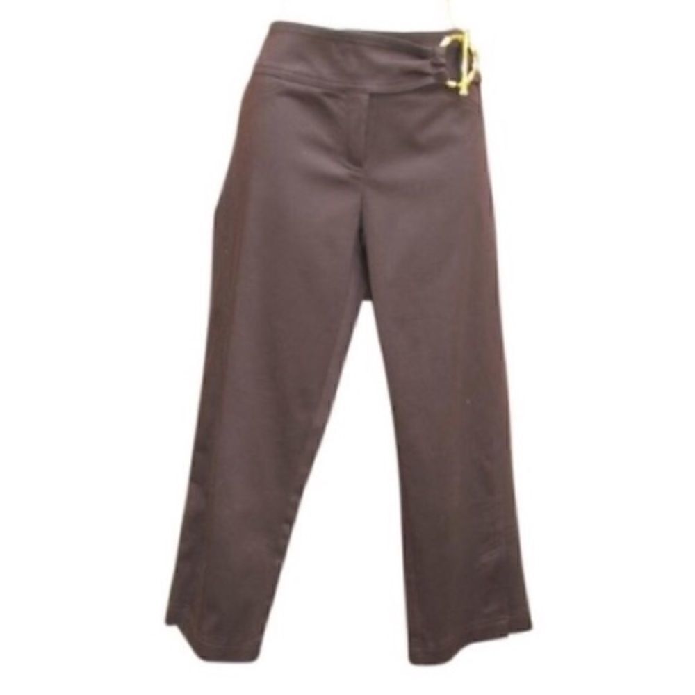 NWT Brown Sateen Cropped Pants